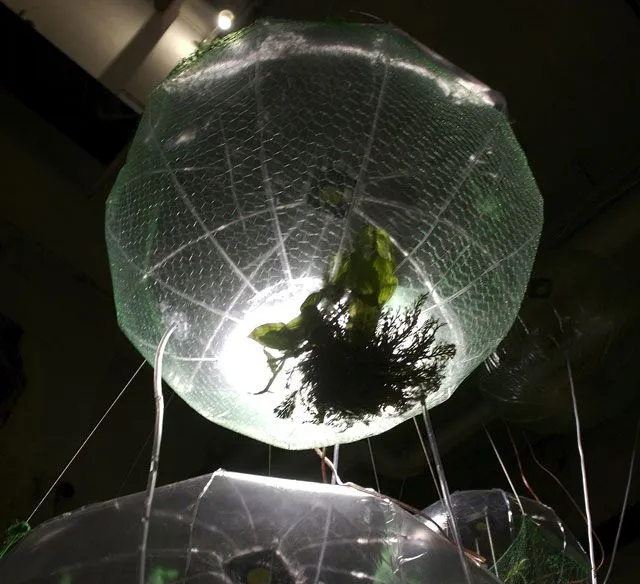 Experimental Plant Incubator, image 4 of 4