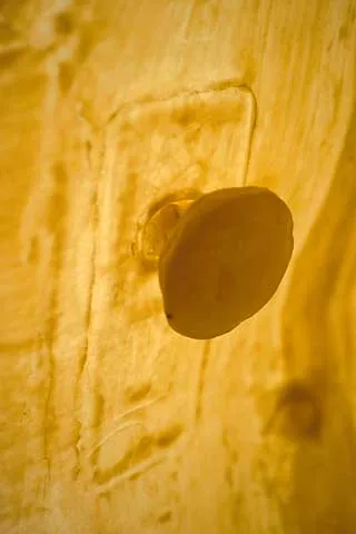 Inside Out, image 3 of 5
