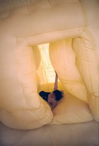 Inside Out, image 5 of 5